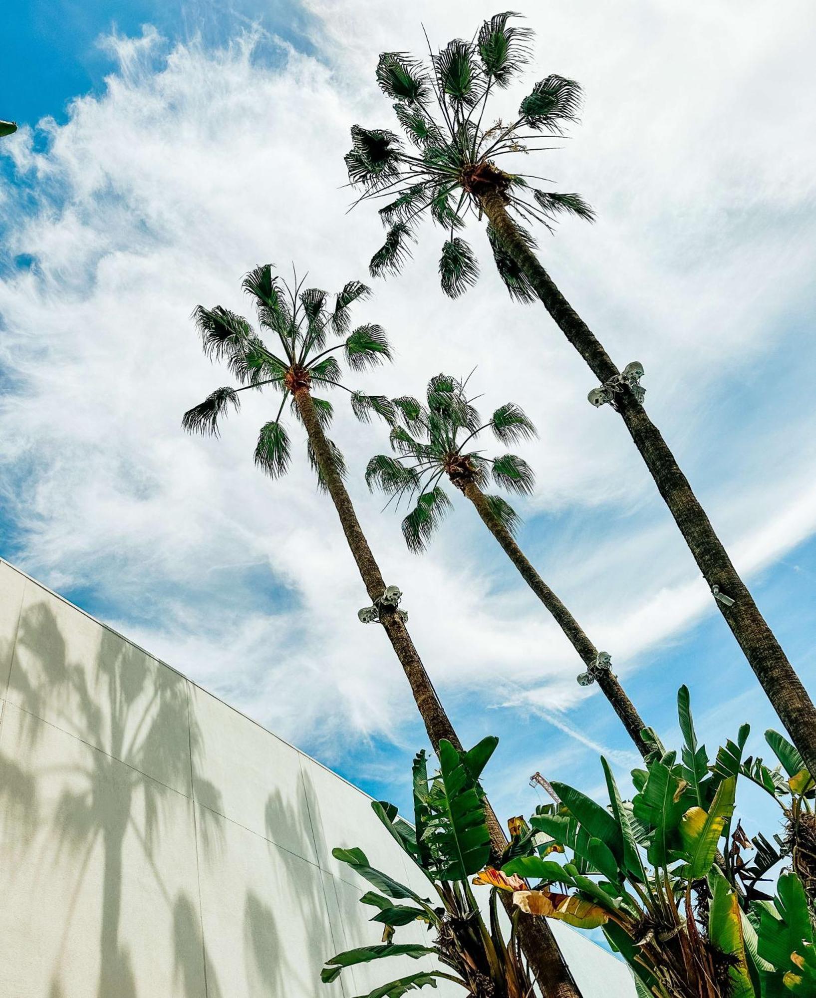 The Beverly Hilton Los Angeles Exteriér fotografie